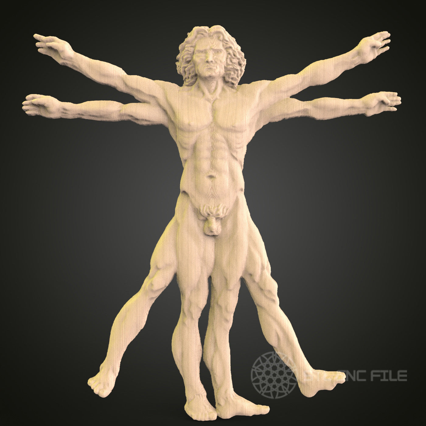 Vitruvian Man 3D Model STL File, Leonardo da Vinci Inspired Human Proportion Study for CNC Router – Compatible with Artcam, Aspire