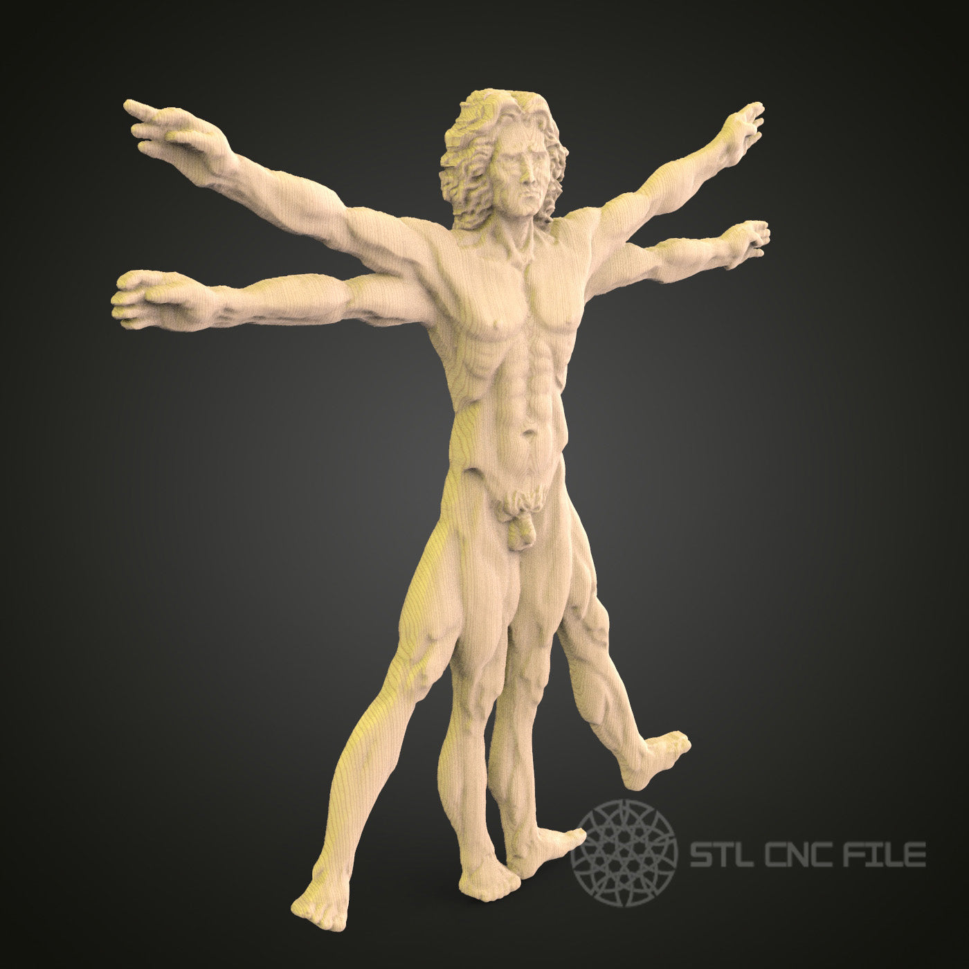 Vitruvian Man 3D Model STL File, Leonardo da Vinci Inspired Human Proportion Study for CNC Router – Compatible with Artcam, Aspire