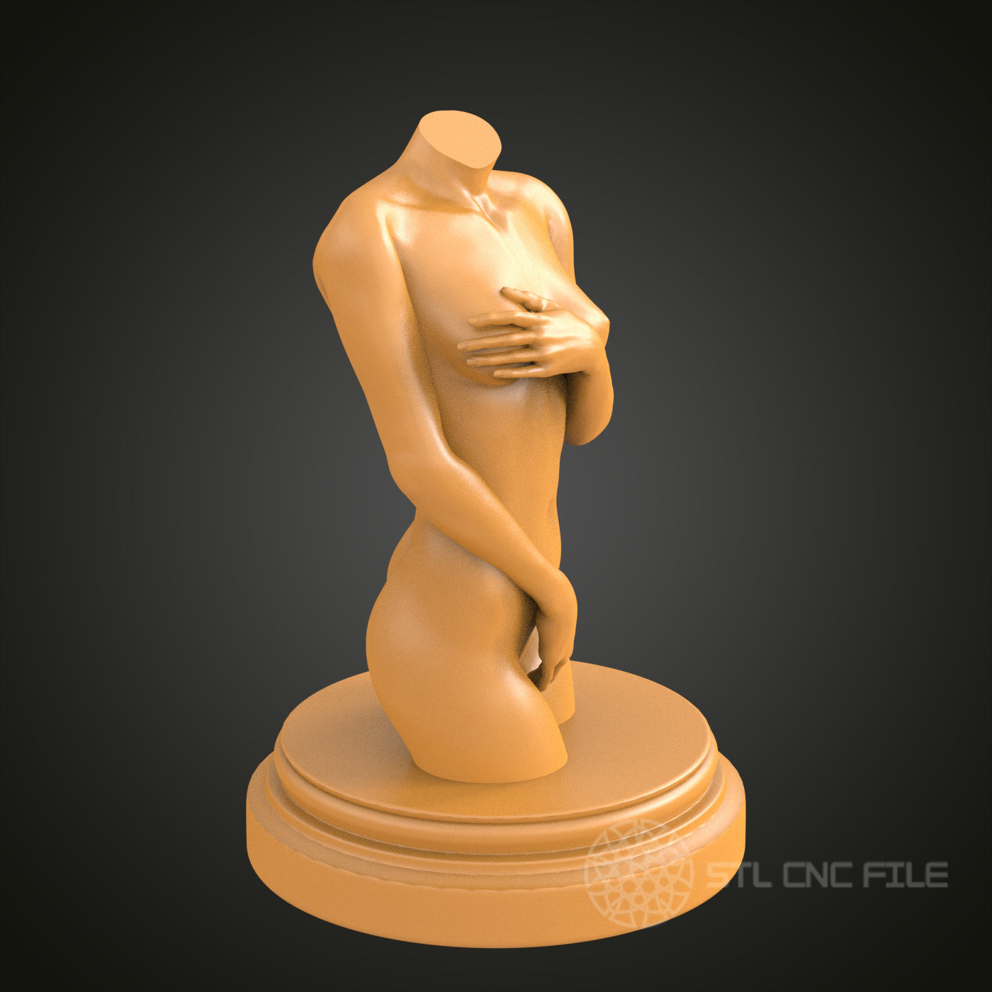 Abstract Female Torso 3D STL Model, CNC Router Engraver Artcam Aspire, Wood Art Sculptural Decor, 3D Printer Ready, PDF with STL Link