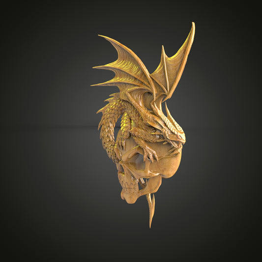 Dramatic Dragon Skull